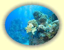 IMG_2007_05_27 18_16_18 * 2250 x 1688 * (622KB)